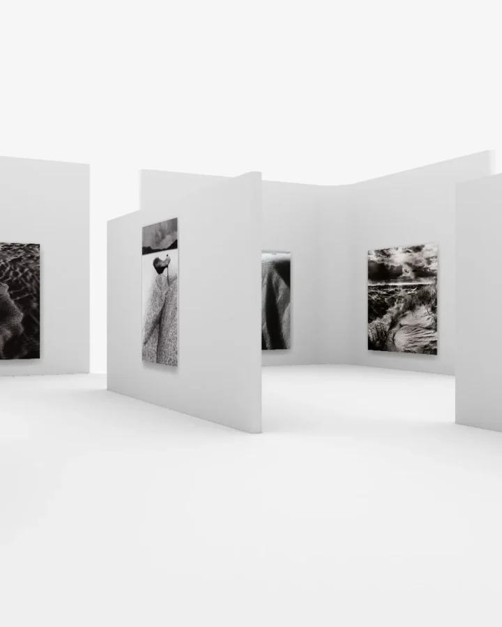 VR galerija — įrankio kūrimas, koordinavimas