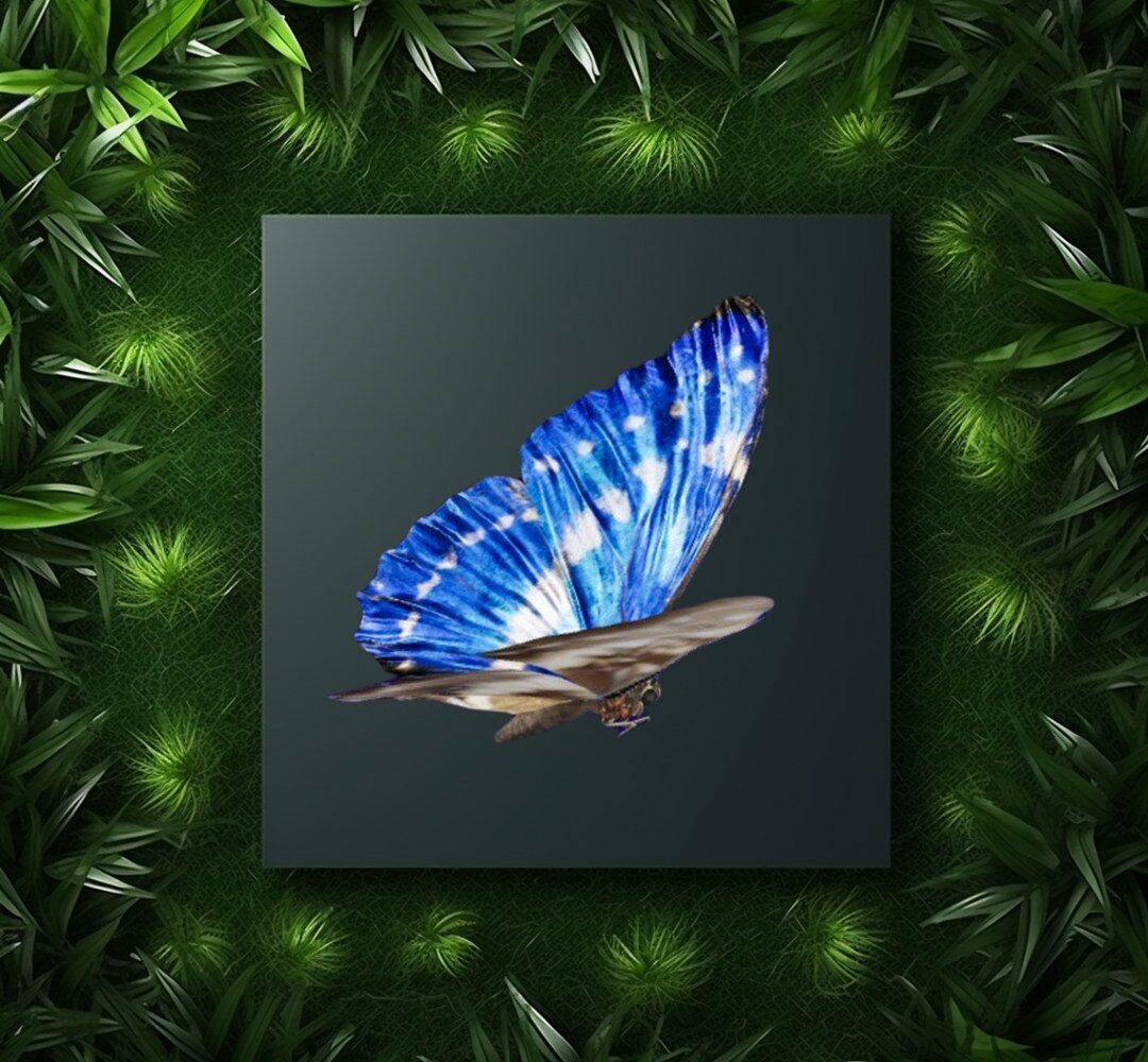 Fotosafaris — vaizdas 8