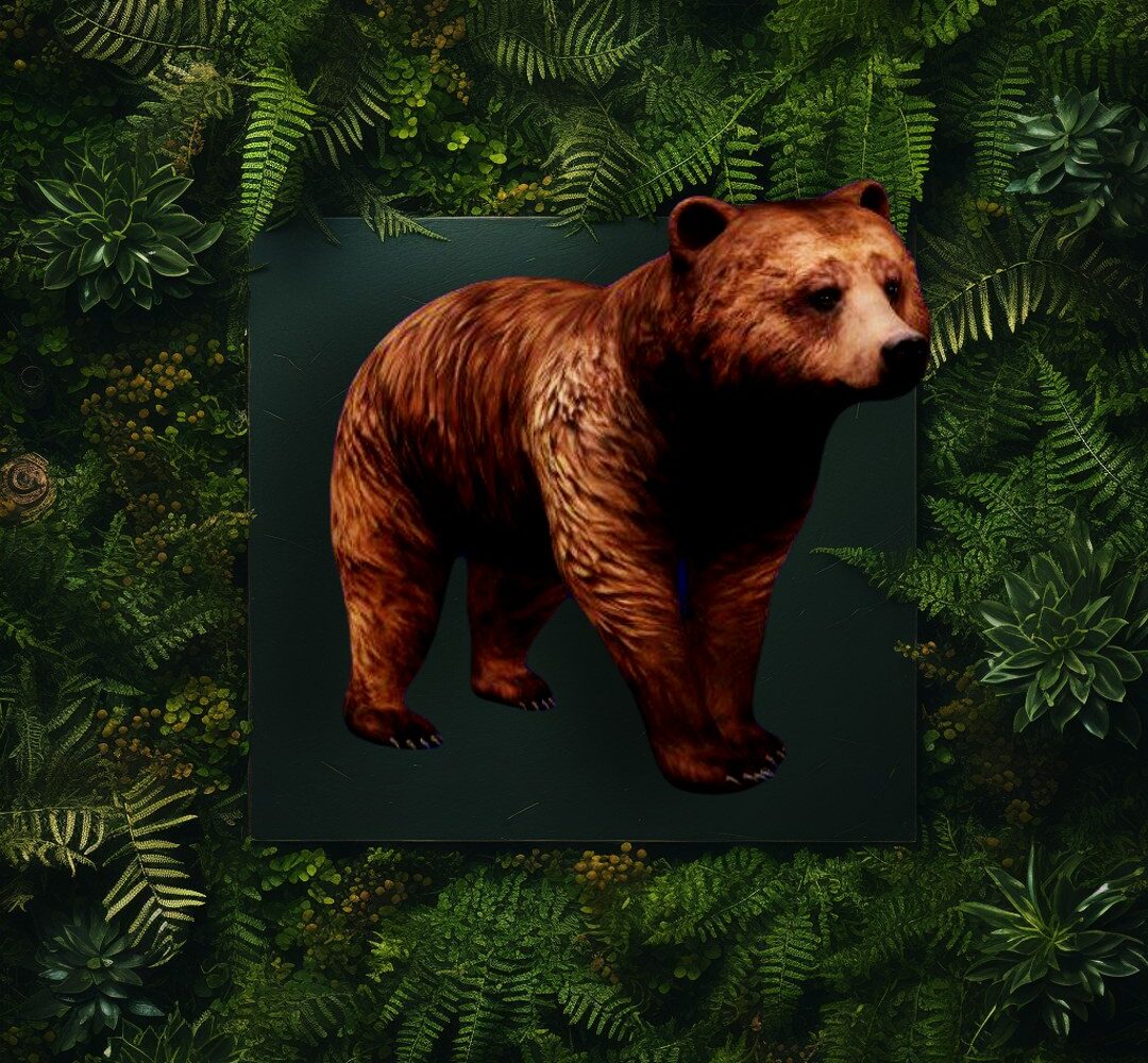 Fotosafaris — vaizdas 3
